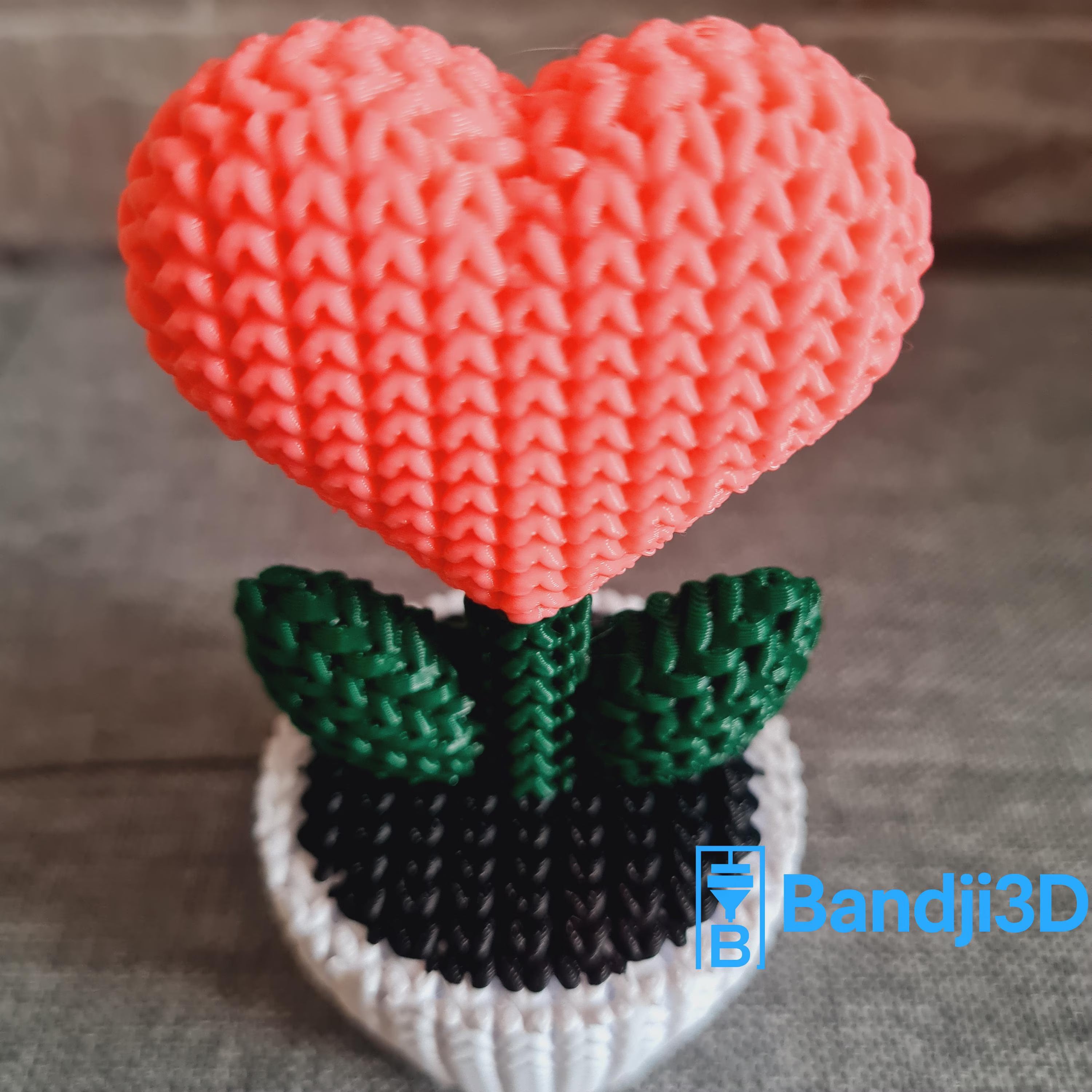 Plante cœur tricotée 3D – Objet déco mignon fait main – Cadeau original en impression 3D