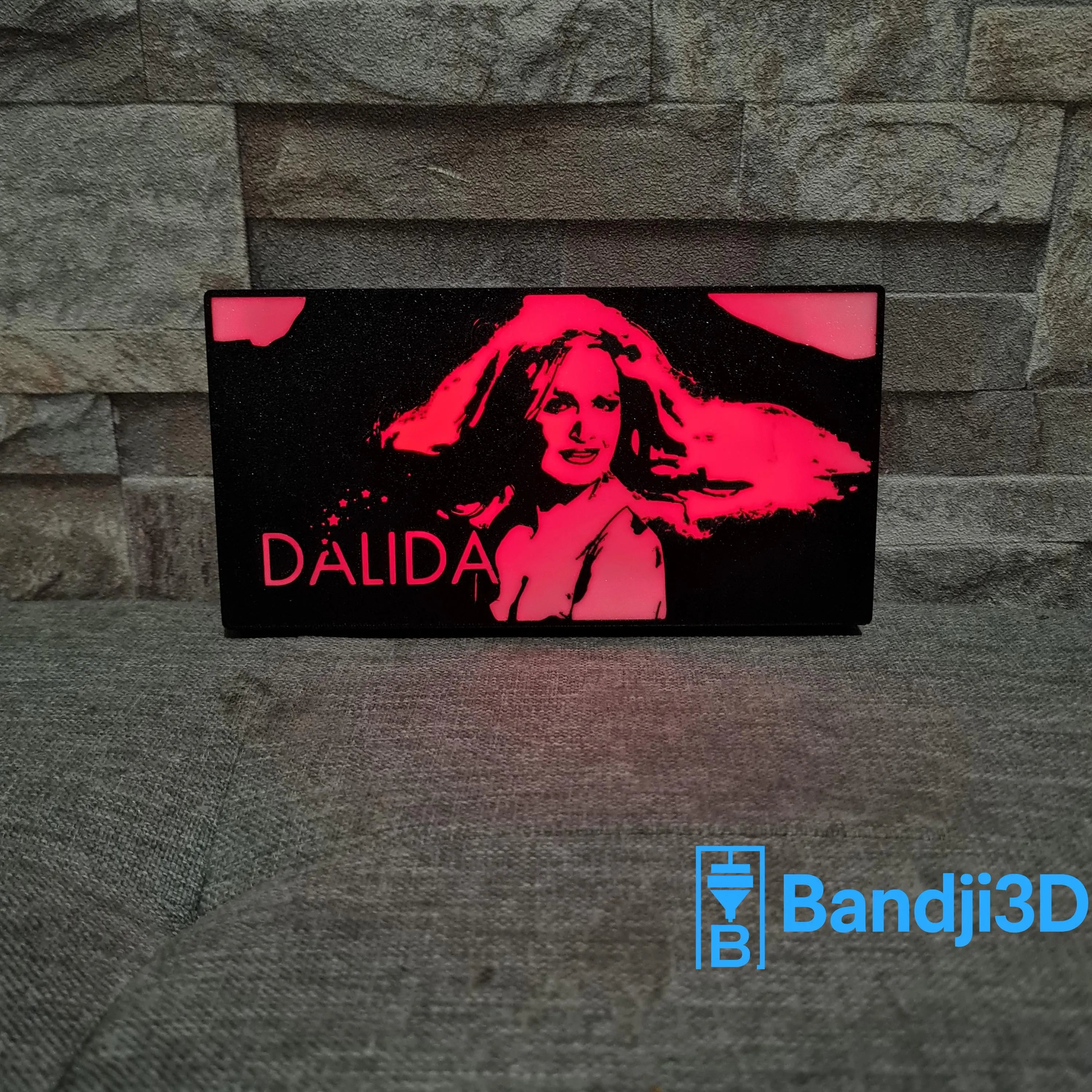 Lampe LED Portrait Dalida – Télécommande & Contrôle Smartphone – Gravure Personnalisée au Dos