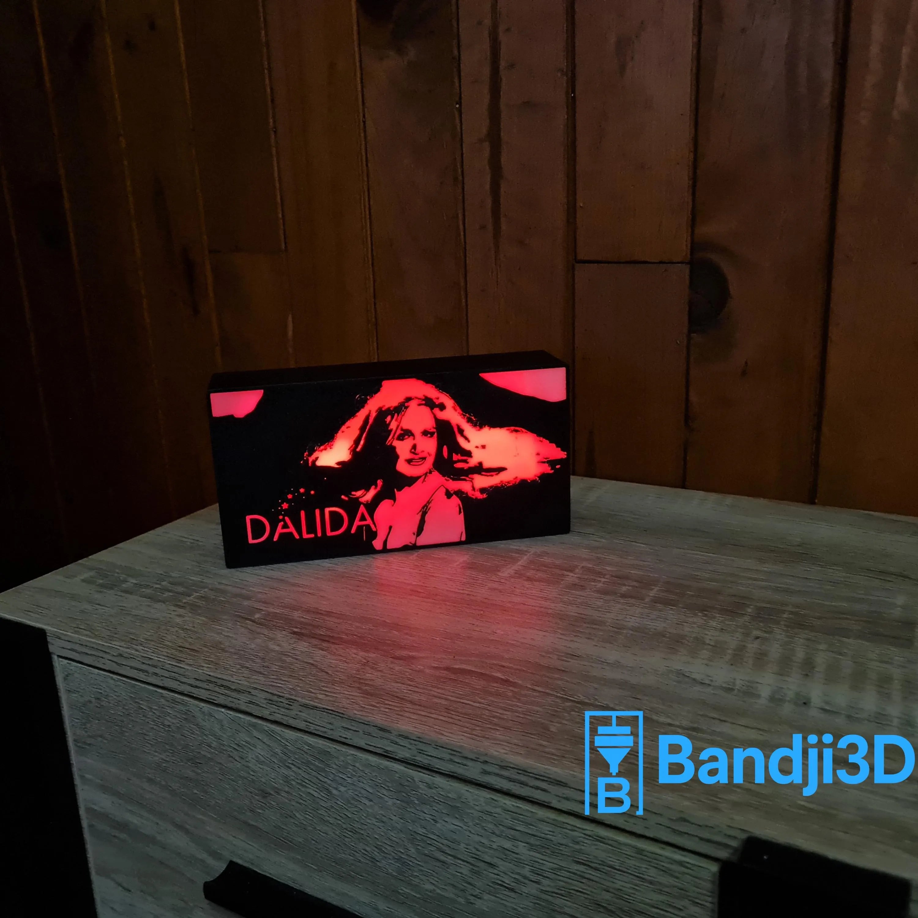 Lampe LED Portrait Dalida – Télécommande & Contrôle Smartphone – Gravure Personnalisée au Dos