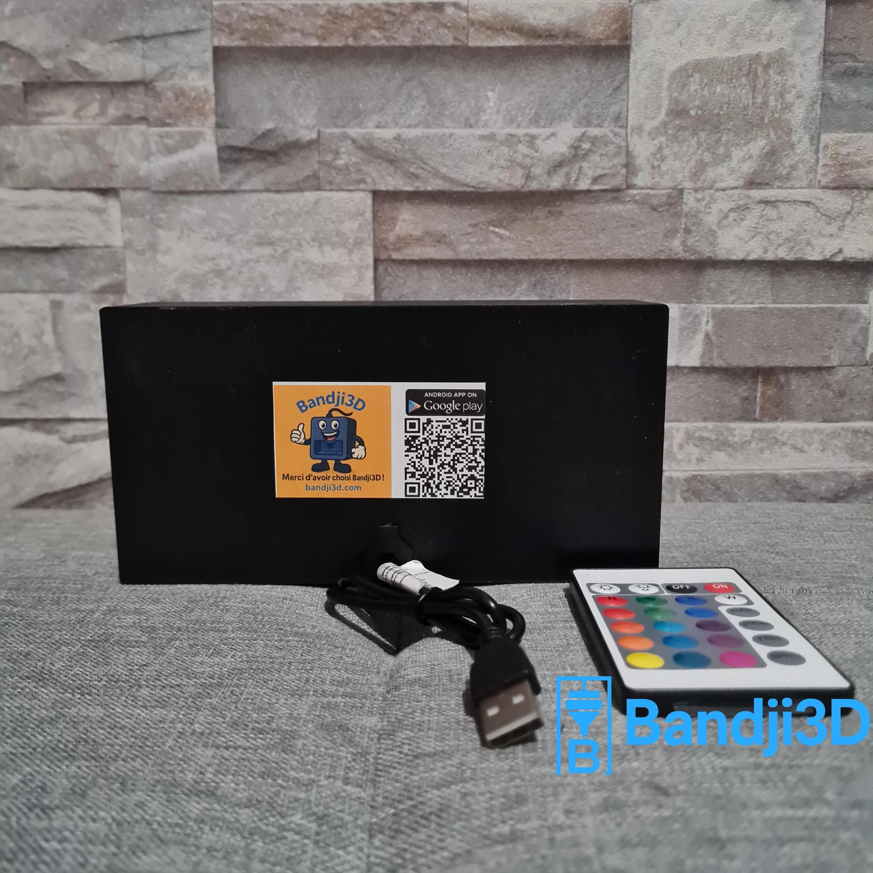 Lampe LED Portrait Dalida – Télécommande & Contrôle Smartphone – Gravure Personnalisée au Dos