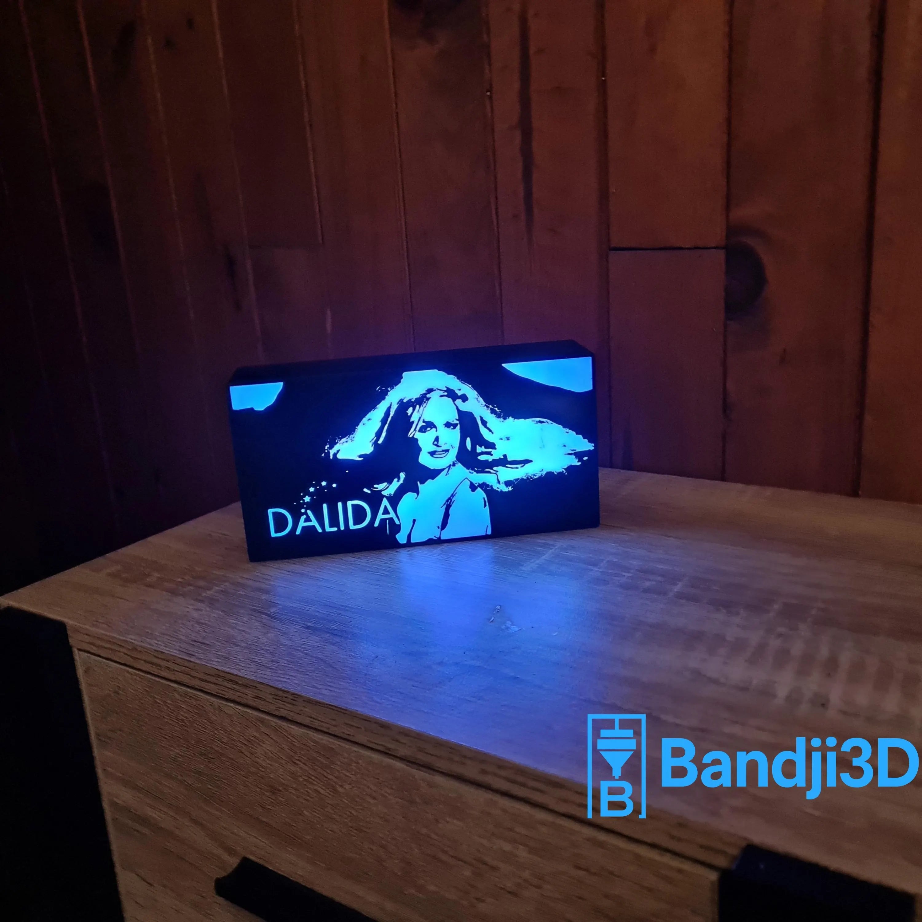 Lampe LED Portrait Dalida – Télécommande & Contrôle Smartphone – Gravure Personnalisée au Dos