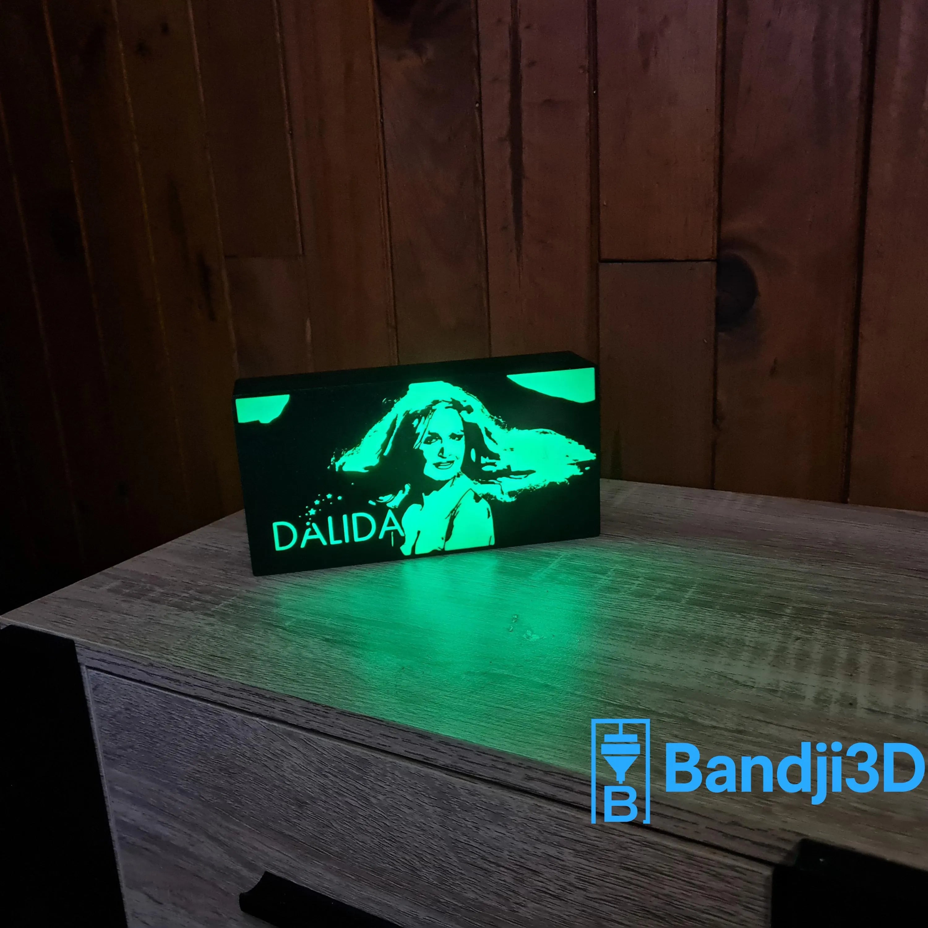 Lampe LED Portrait Dalida – Télécommande & Contrôle Smartphone – Gravure Personnalisée au Dos