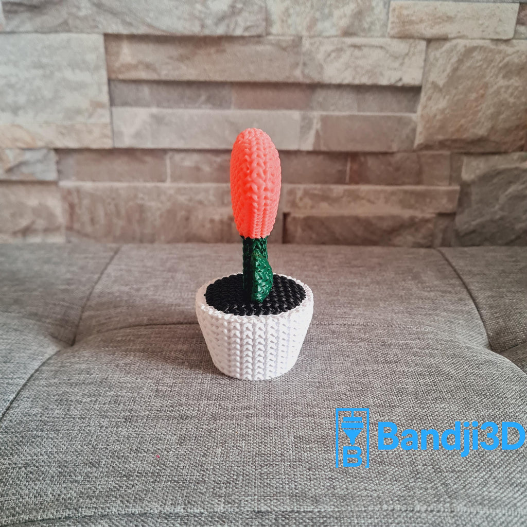 Plante cœur tricotée 3D – Objet déco mignon fait main – Cadeau original en impression 3D