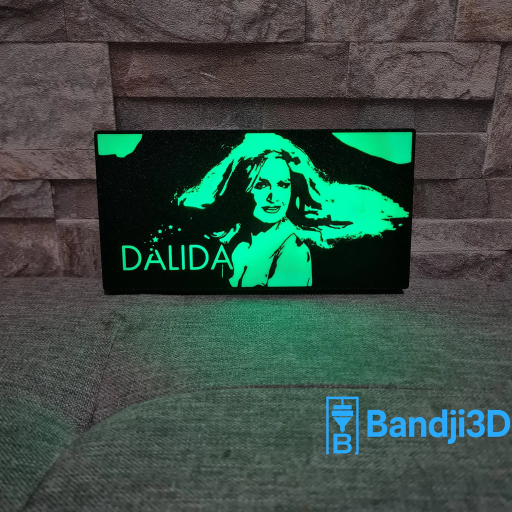 Lampe LED Portrait Dalida – Télécommande & Contrôle Smartphone – Gravure Personnalisée au Dos